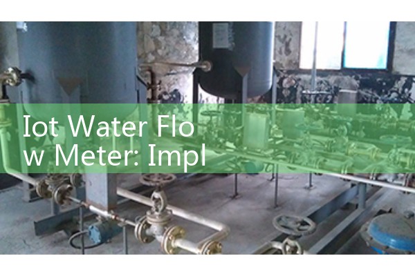 Iot Water Flow Meter: Implementing Remote Wireless LoRaWAN Telemetry Systems for Smart Cities